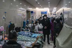The number of patients with critical conditions in hospital were more than 40 per cent lower on Jan 17 than a peak seen on Jan 5, an official said.