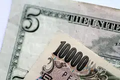 The greenback is up 1 per cent against the yen at 133.45, the highest since Apr 3.