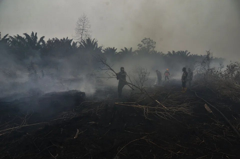 If large fires were to happen in a province, the local police chiefs would be held accountable and dismissed as a result, Indonesia President Jokowi said.