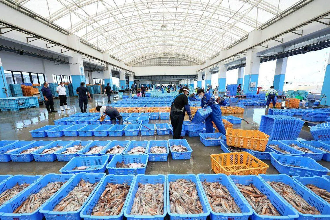 Fishery workers sorting out seafood at Matsukawaura port in Fukushima prefecture over the weekend. “The government failed to keep to its promise of gaining agreement from fishermen before taking such a decision to release (the water),” said a spokeperson for the group of more than 100 plaintiffs.