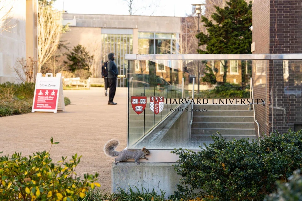 Harvard has received 7,921 applications this year for non-binding early admissions, compared with 9,553 last year. 