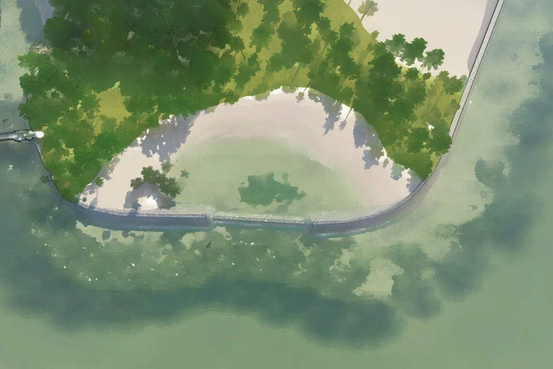 Artist's impression of the tidal pool, which is supported by a S$1 million donation from Singtel. 