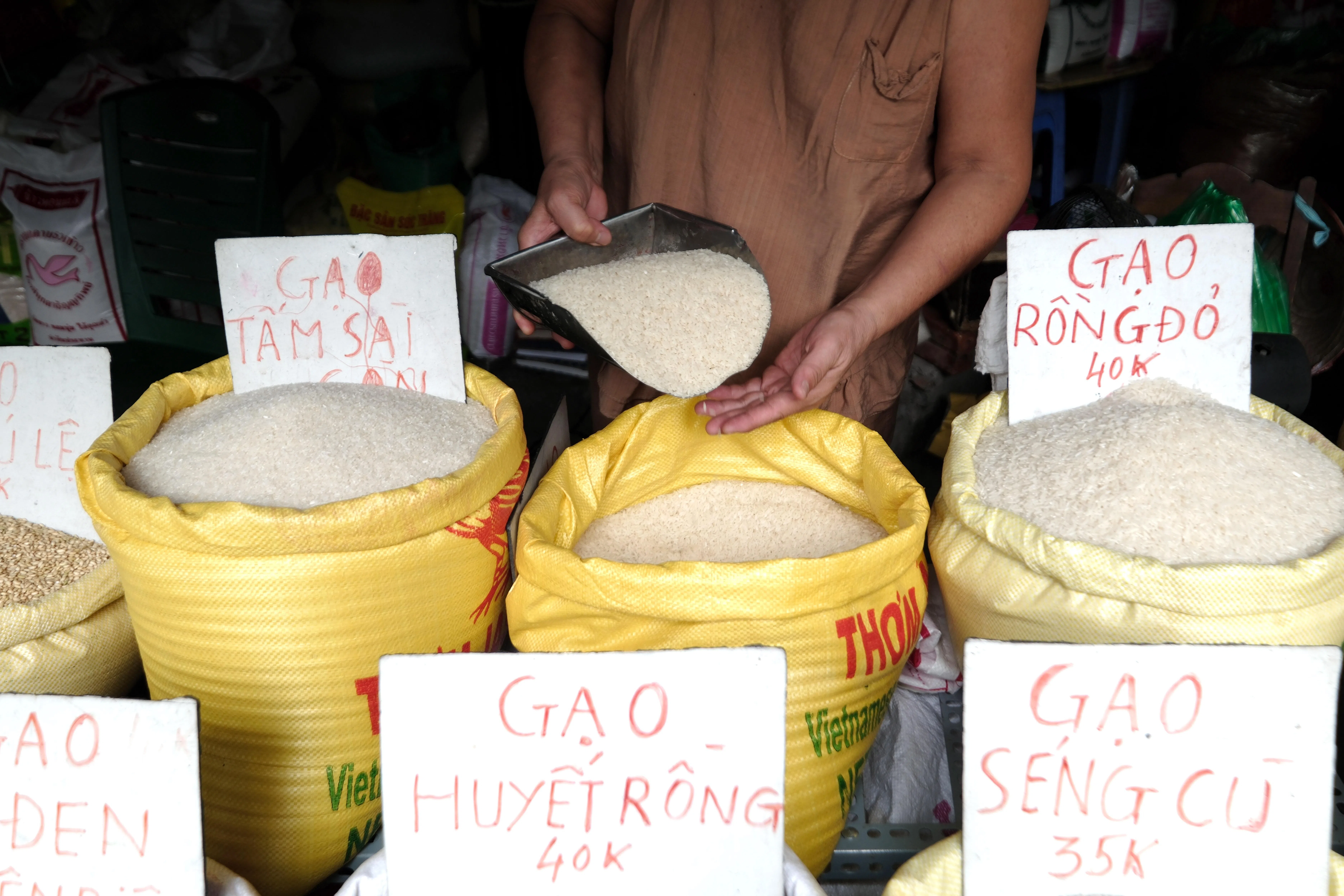 India rice export ban fuelling risk of unrest in Asia, Africa: UN - The ...