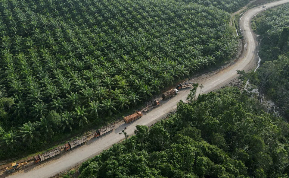 The EU has imposed several rules over the years restricting palm oil imports, often sparking protests from Malaysia and Indonesia, the world’s top palm oil producers.