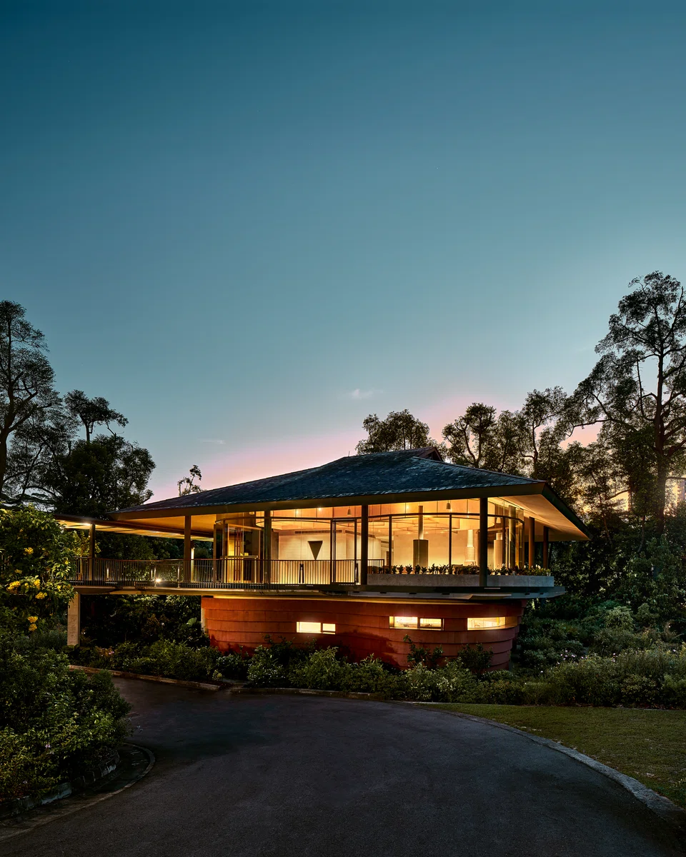 Pangium sits in The Orangery in the Botanic Gardens, set amidst lush greenery.