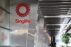The acquisition of Singlife by Sumitomo Life is just one of many deals by Japanese corporates in South-east Asia. The favourable demographics in the region with a growing appetite for financing makes it very attractive to Japanese investors.