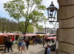 The institutes now forecast Germany's gross domestic product (GDP) to increase by 1.4 per cent in 2025, revised from 1.5 per cent previously.