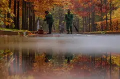 Hundreds of thousands of Russians left the country following what the Kremlin calls its special military operation in Ukraine which began in February 2022, including highly-qualified IT specialists.