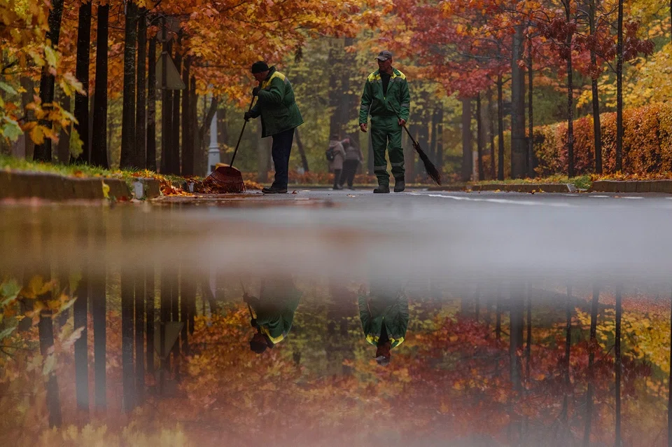 Hundreds of thousands of Russians left the country following what the Kremlin calls its special military operation in Ukraine which began in February 2022, including highly-qualified IT specialists.