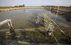 The climate fund is set to be the first to focus specifically on South-east Asia with the launch coming at a time when investors globally are increasingly focusing on investments that can help in the fight against global warming.