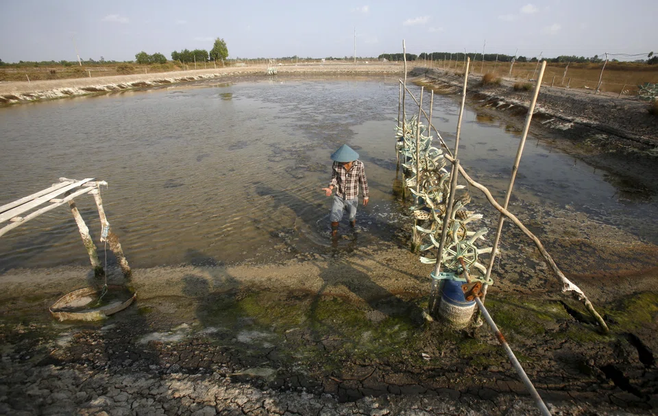 The climate fund is set to be the first to focus specifically on South-east Asia with the launch coming at a time when investors globally are increasingly focusing on investments that can help in the fight against global warming.