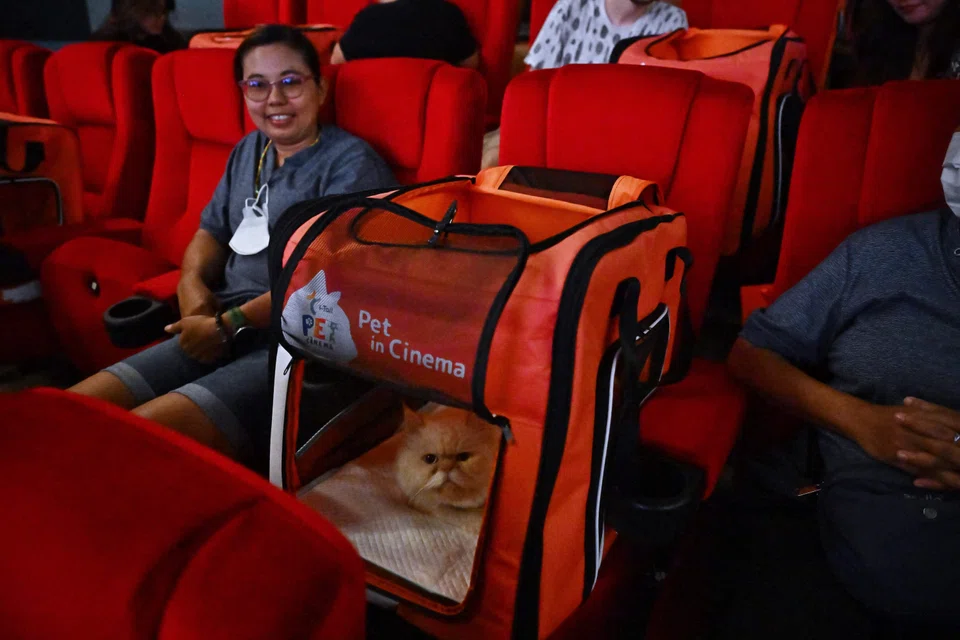 Thailand’s pet industry is considered the second-biggest in Asia, behind China’s, with some 8.3 million dogs and 3.7 million cats in 2021, according to industry data.