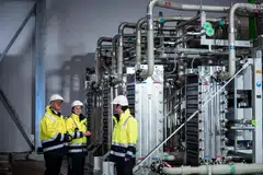 More than half of the firms surveyed by the German Chamber of Commerce in China expect conditions to either worsen or remain unchanged for their industries.