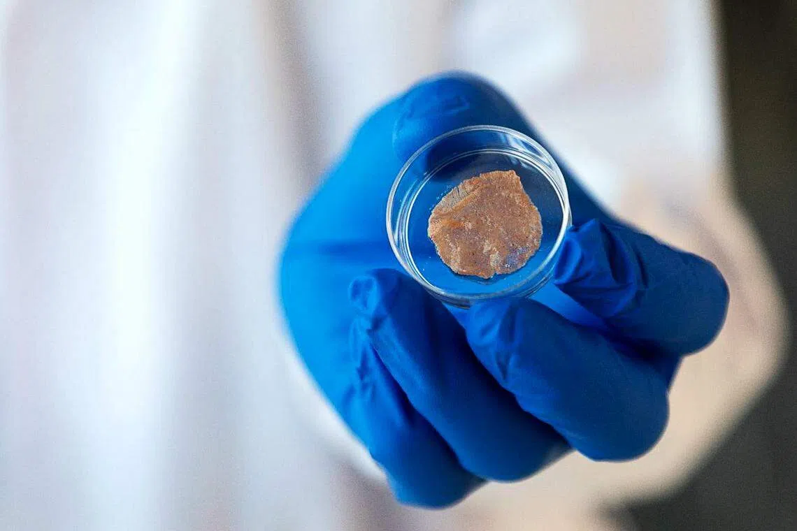 France's proposed ban applies only to products made and sold in France. It bans a list of 21 meat names to describe protein-based products, including “steak”, “escalope”, “spare ribs”, “ham” or “butcher”.  Above: Lab-cultured "pork".