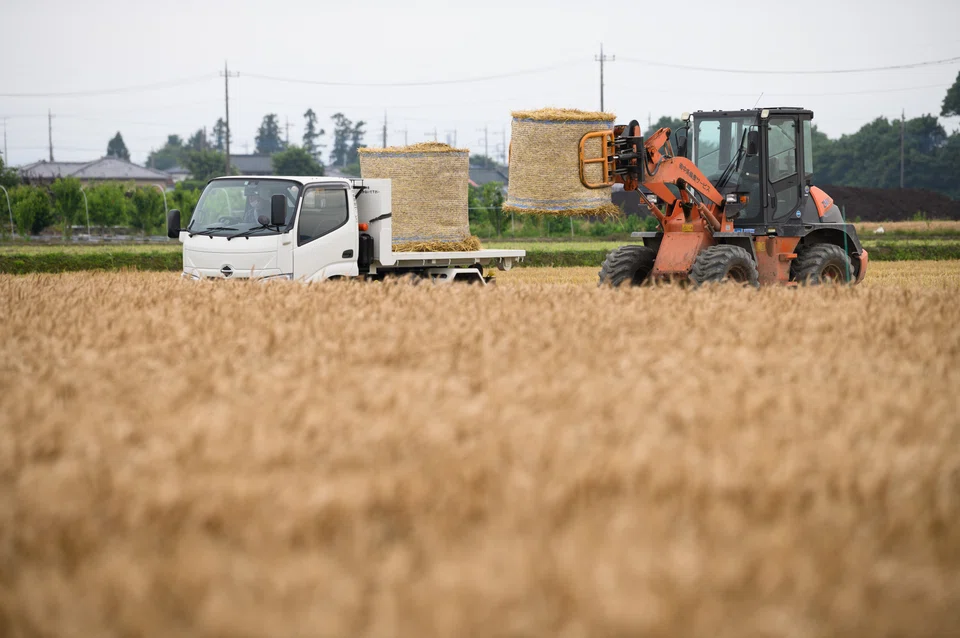 There’s “little visibility” on when grain shipments from Ukraine could resume. Exposure to crop commodities could deliver a 30 per cent return “under an upside scenario”, according to the report.