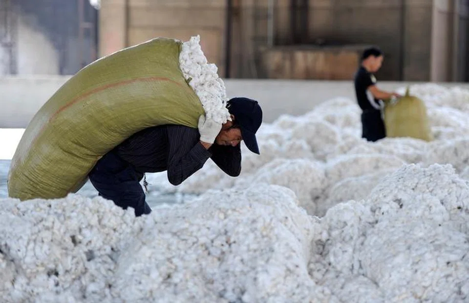 China’s agriculture ministry urges cotton growers to irrigate and fertilise more to cope with scorching temperatures.