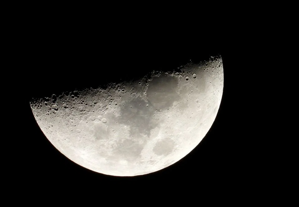 Plants will be chosen based on how well they cope in extreme conditions, and how quickly they germinate. 