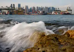 The mounting urgency of climate action raises the likelihood that carbon prices will flow into all parts of the economy, and companies should start taking steps to decarbonise and minimise their need to pay for expensive credits down the road. 