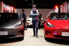 Tesla has prioritised sales growth over profit this year, firming its popularity in the world’s largest auto market even though Chinese brands for the first time took more than half of their home market in sales terms in the first half.