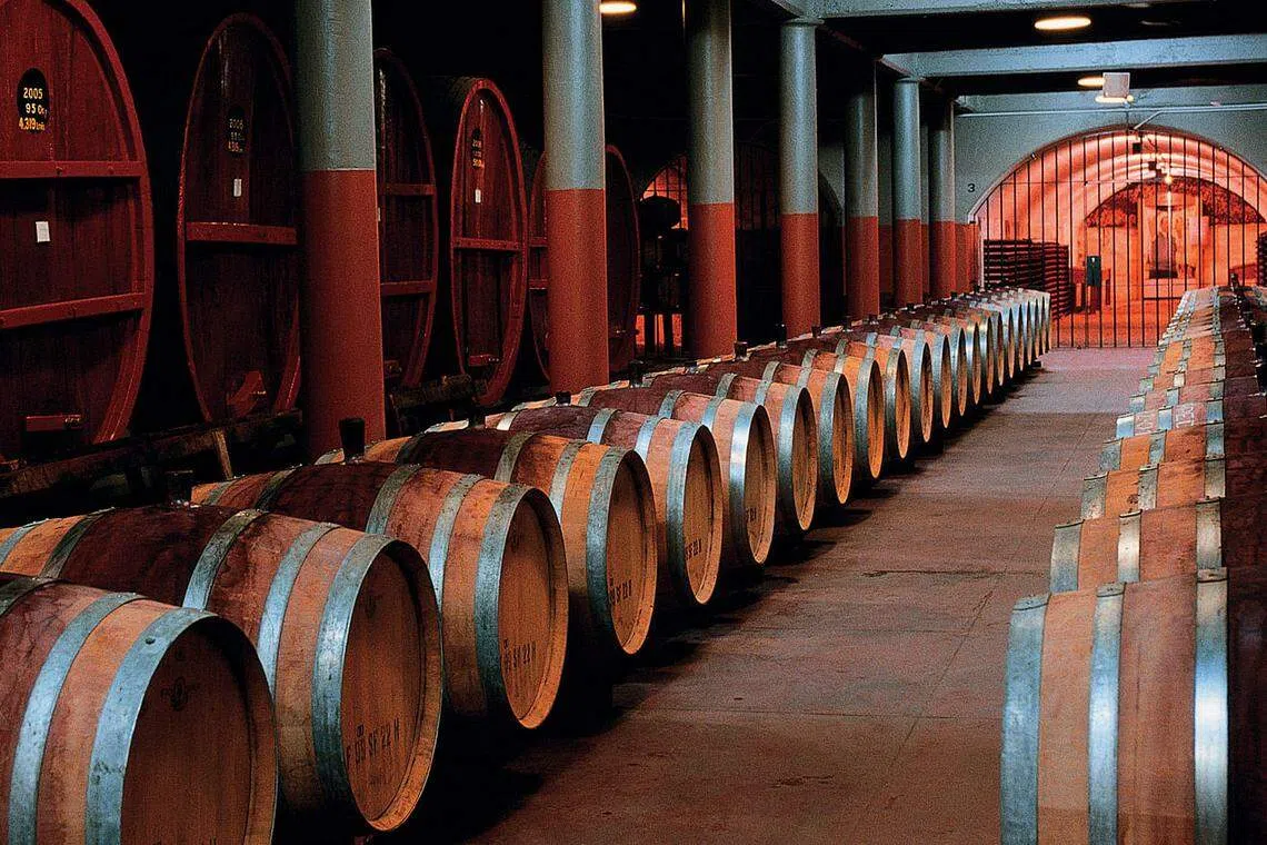 Shopping for festive wine with Penfolds