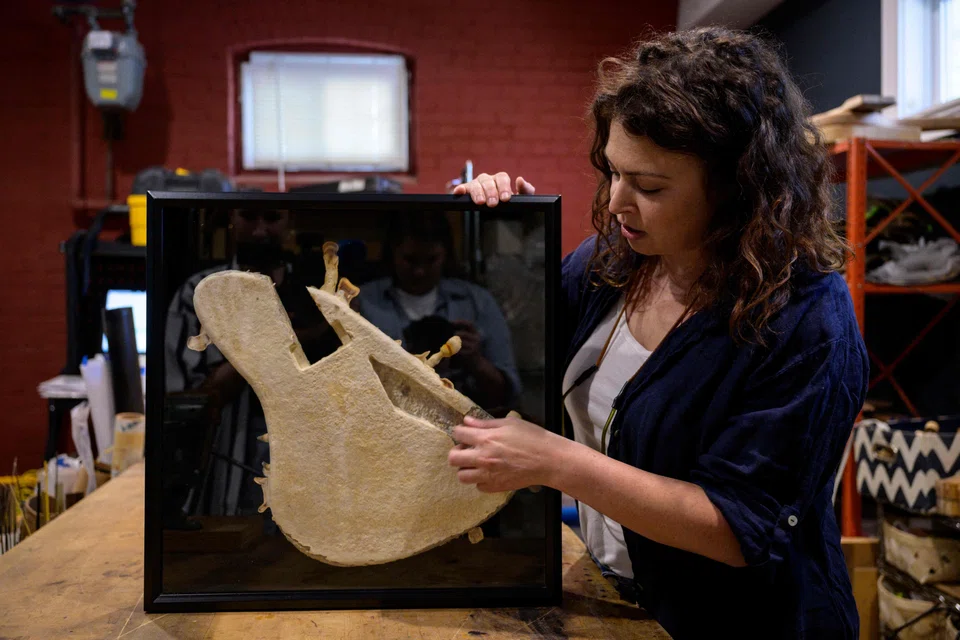 French luthier Rachel Rosenkrantz displays her prototype of a guitar body made using mycelium; once mycelium mimics the rind of a soft-ripened cheese, she dehydrates it into a lightweight, biodegradable building material – in this case, the body of a guitar.