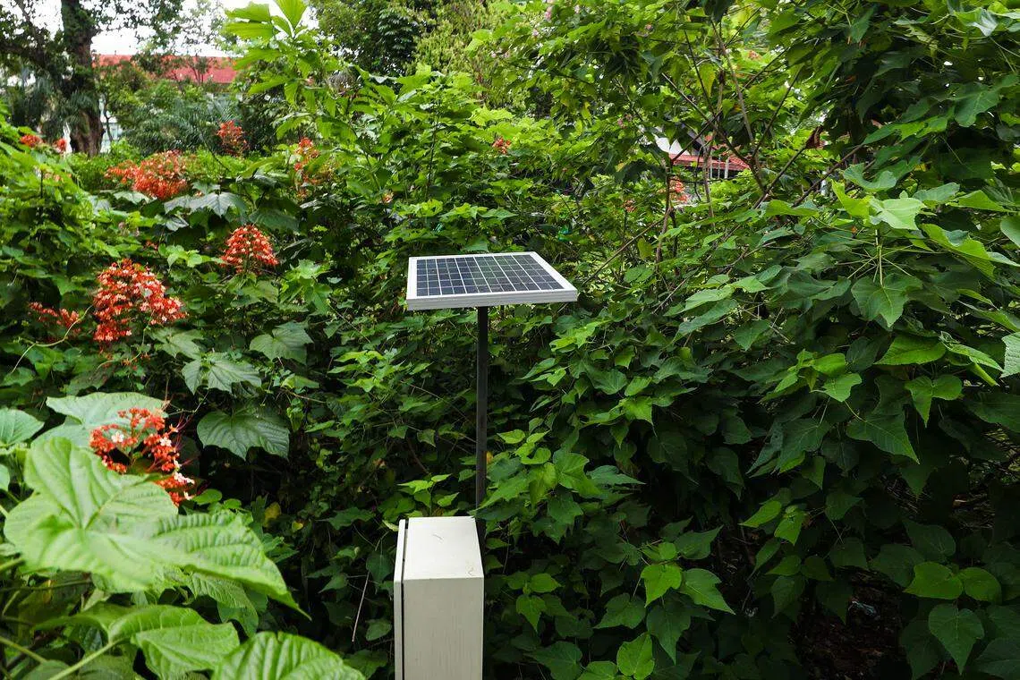 The Green Plan is a whole-of-nation movement to advance Singapore’s national agenda on sustainable development.