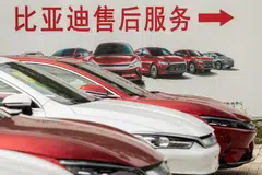 BYD shares plunged as much as 13 per cent in Hong Kong early Wednesday. 