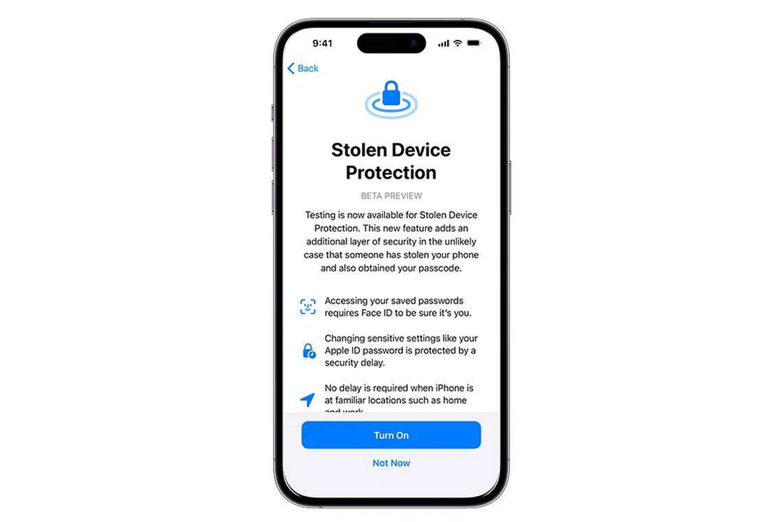 The enhancement will require Face ID or Touch ID when accessing stored passwords, changing Apple ID settings, looking at payment information and disabling Find My iPhone.