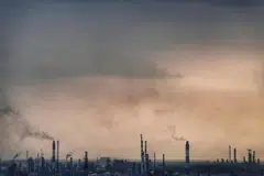 More aggressive climate policies are par for the course if Singapore embarks on a more definitive plan to reach net-zero emissions by 2050, economists, academics and consultants told The Business Times.