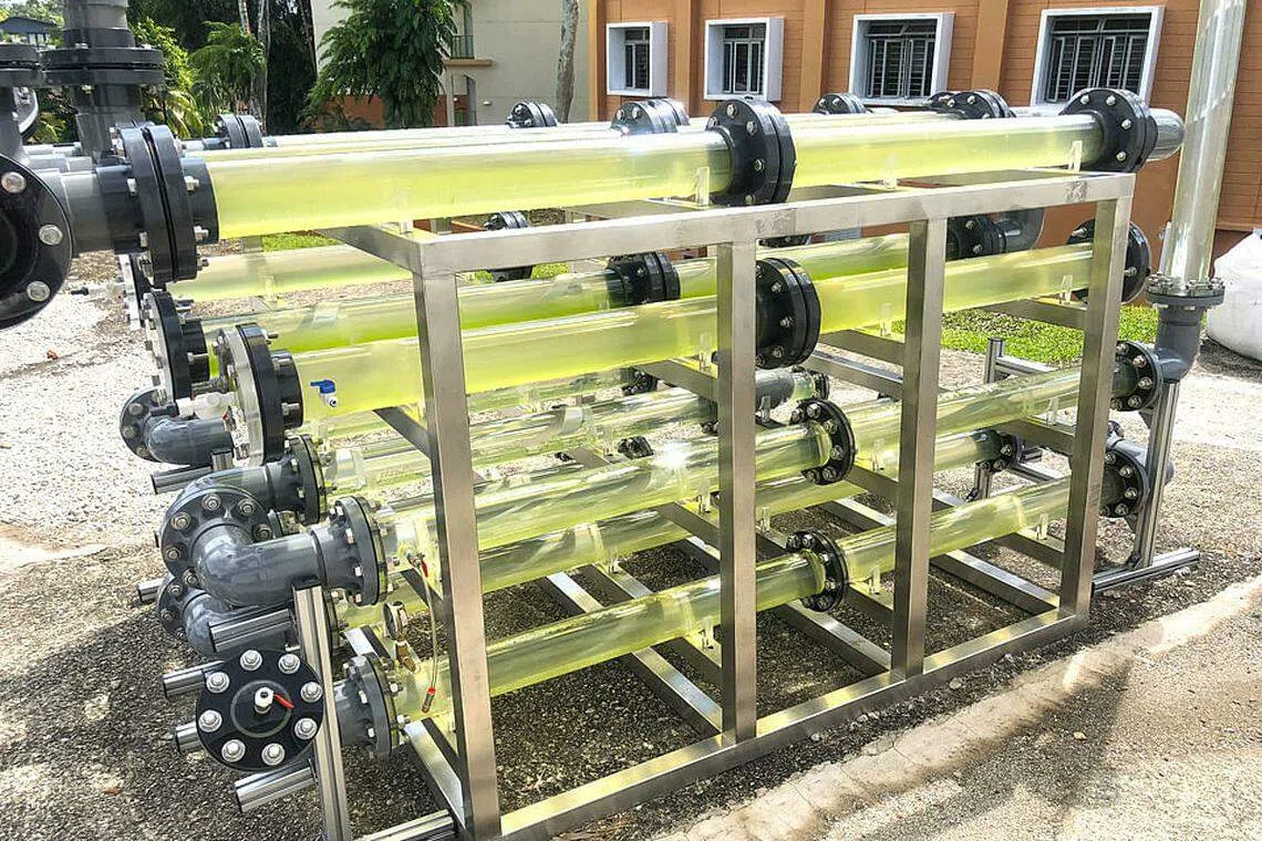 Expansion of microalgae production to improve Singapore's food security