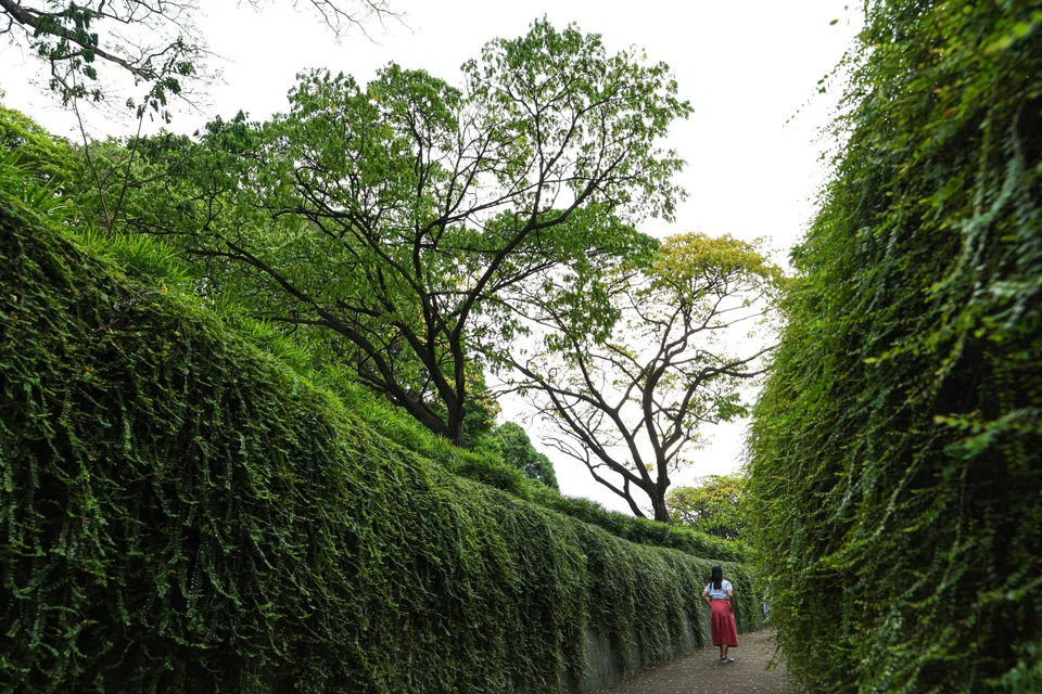 New regulations being formulated in Asia have been increasing at roughly the same rate as the rest of the world. 