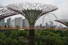 Singapore remains a top draw for Chinese travellers who consider crime one of their main concerns. 