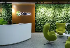 Olam Group denies allegations about its Nigerian unit being involved in fraud.