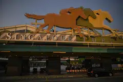 While the Singapore Turf Club's impending closure deals an undeniable blow to the racing community, we need not romanticise the institution of horse-racing.