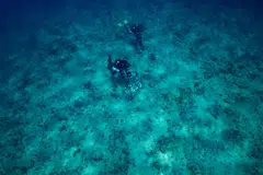 The financial sector and businesses should collaborate to address funding and data gaps to unlock the potential of oceans for lasting growth.