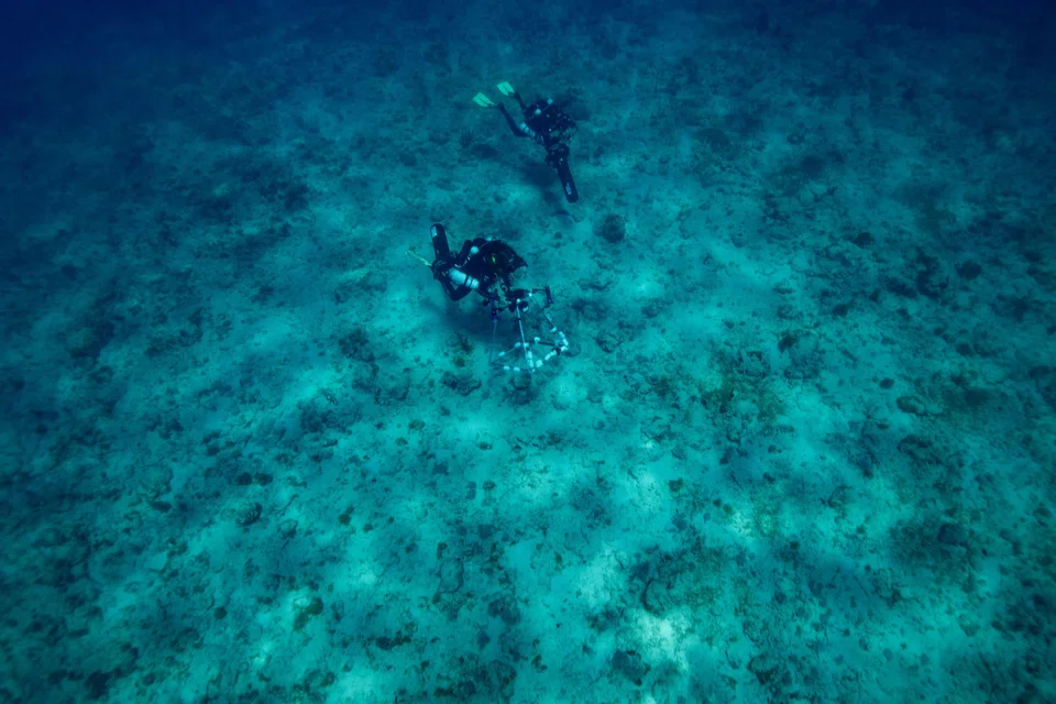 The financial sector and businesses should collaborate to address funding and data gaps to unlock the potential of oceans for lasting growth.