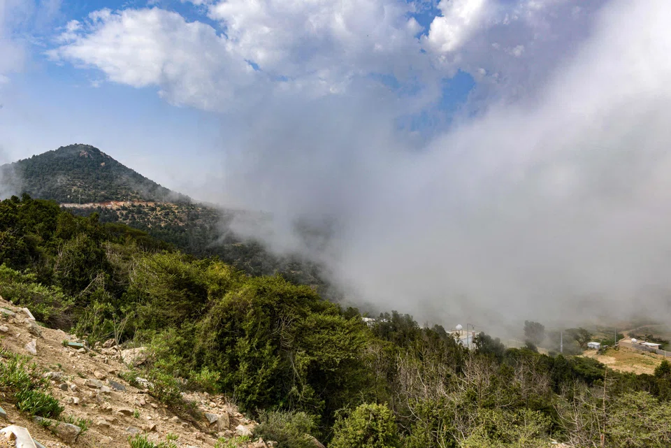 Sweltering Saudis escape to mountainous 'City of Fog' - The Business Times