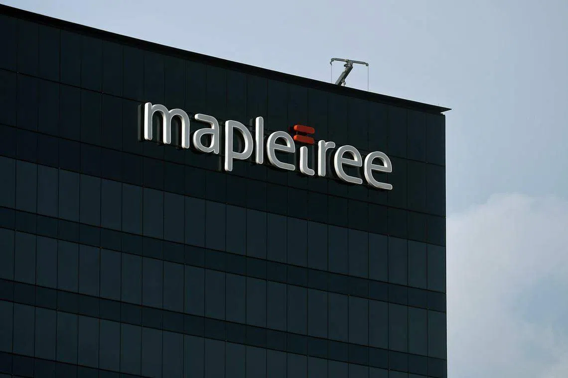 Mapletree Investments backed a S$2.2 billion preferential offering by MCT to provide MNACT minorities with a cash option under the merger.
