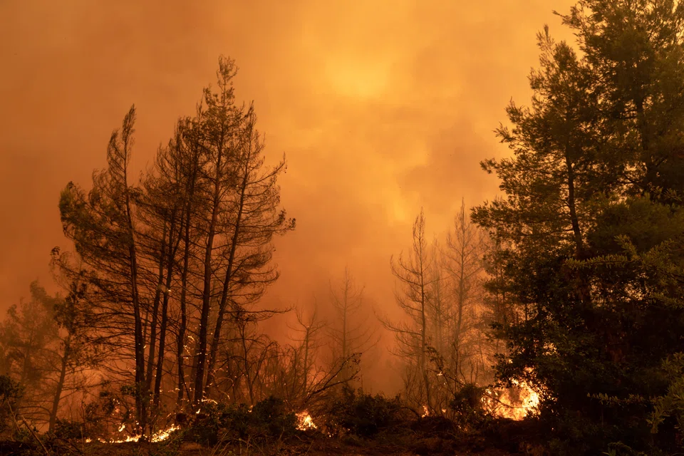 The world is headed towards unavoidable multiple climate hazards in the coming years; can a global climate conference make a difference? 