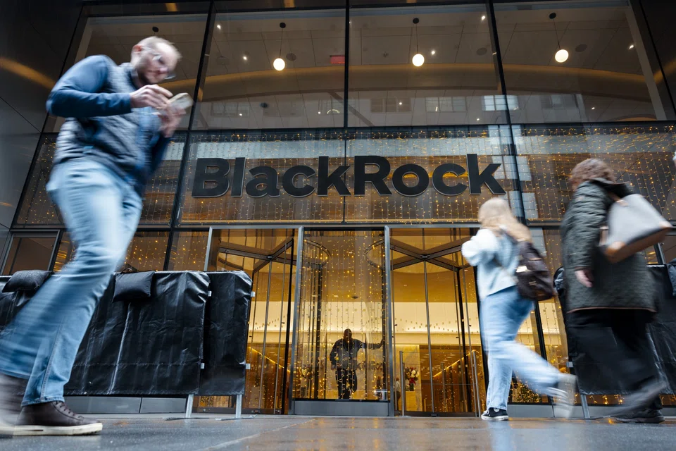 The BlackRock USD Institutional Digital Liquidity Fund invests in cash, US Treasury bills and repurchase agreements. 