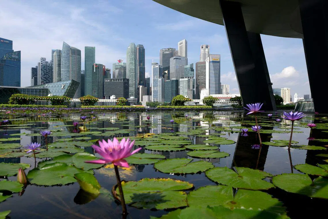 Singapore’s government-issued bonds, such as T-bills, have drawn strong interest this year, after yields crossed the four per cent mark in January and September.