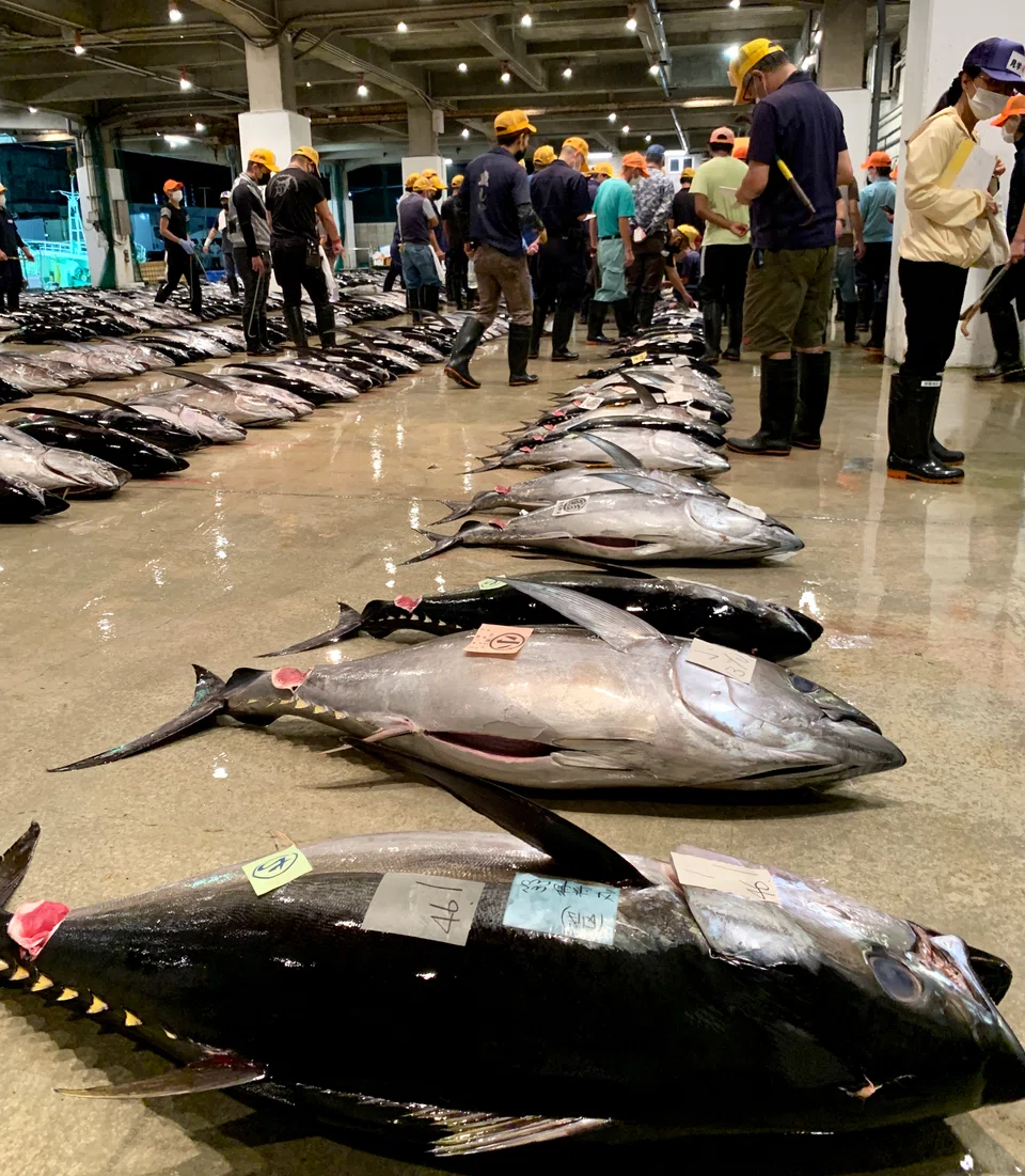Tuna is a big catch for Okinawa's fishing industry.