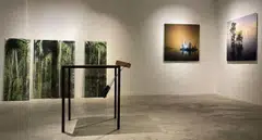 The Culture Story's latest exhibition features four artists from different generations and practices.