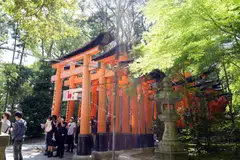 Japan said on Tuesday it would start conducting “test tourism” in the form of limited package tours in May.