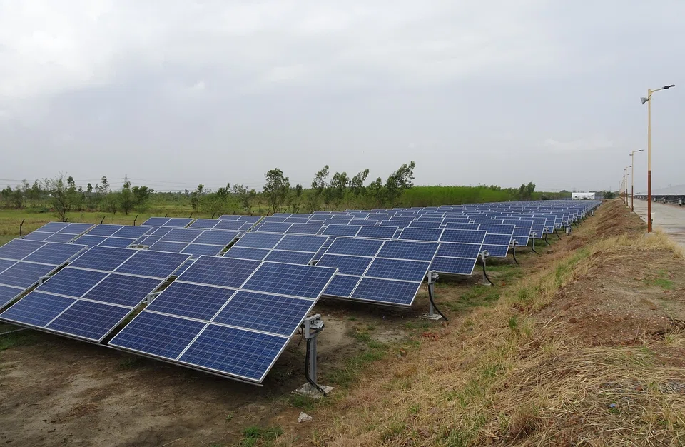 Solar panels in India. Green energy companies, such as Waaree, are benefiting from the country's aim to boost non-fossil fuel energy capacity.