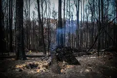 Among the ecological areas which were ranked as "deteriorating" in the report prepared by independent experts were Australia's land and soil quality, inland water supply, native vegetation and water and air quality.