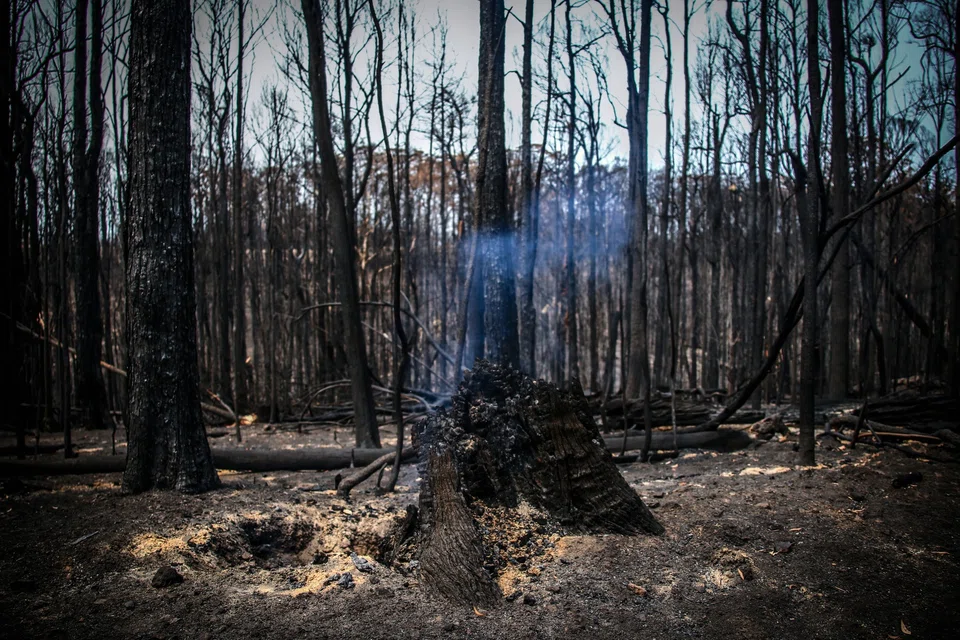 Among the ecological areas which were ranked as "deteriorating" in the report prepared by independent experts were Australia's land and soil quality, inland water supply, native vegetation and water and air quality.