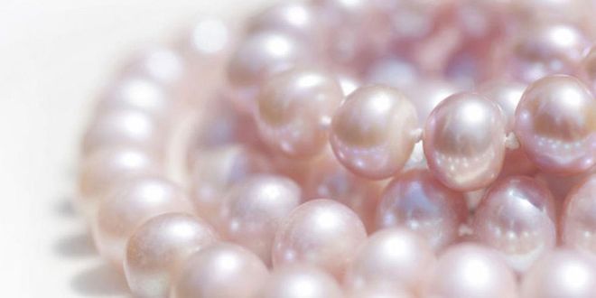 About 95% of pearls harvested are cultured or cultivated pearls. This means that mollusks are artificially implanted with small seeds and tended to in a farm.
Photo: Getty