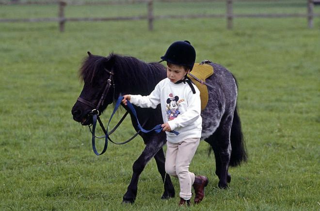 Here, Prince William is pictured with his Shetland pony at Highgrove House in Doughton, Gloucestershire in 1986.
Photo: Getty
