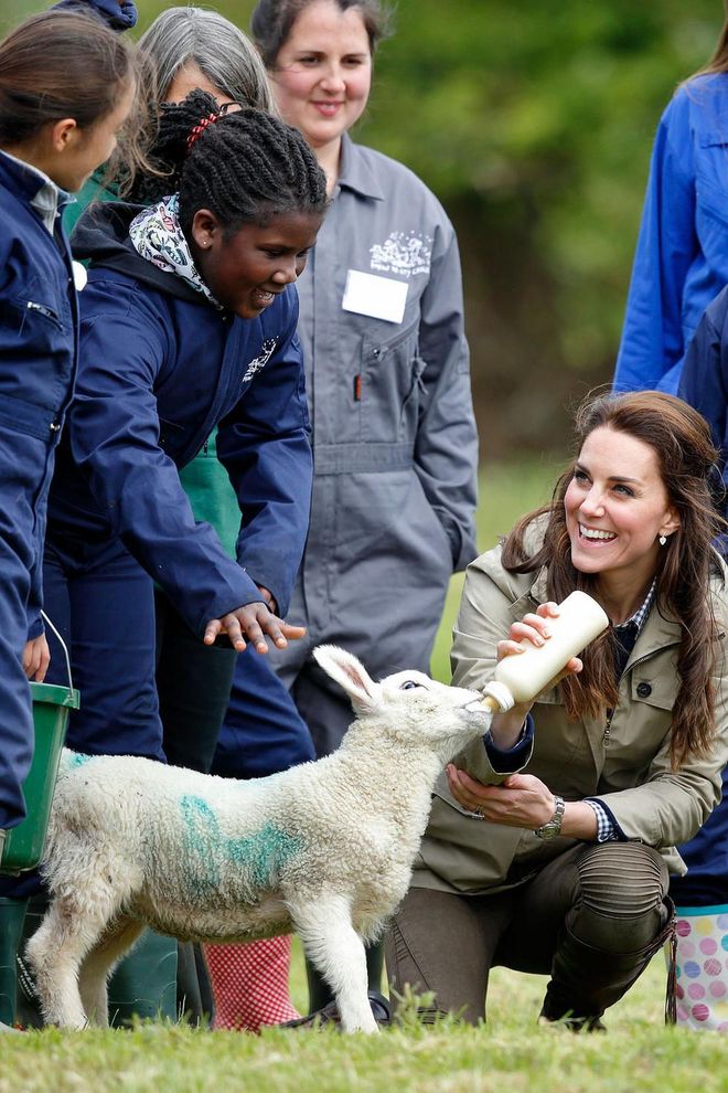 Middleton bottle-feeds a lamb as she visits Farms for City Children in Arlingham, England.
Photo: Getty
